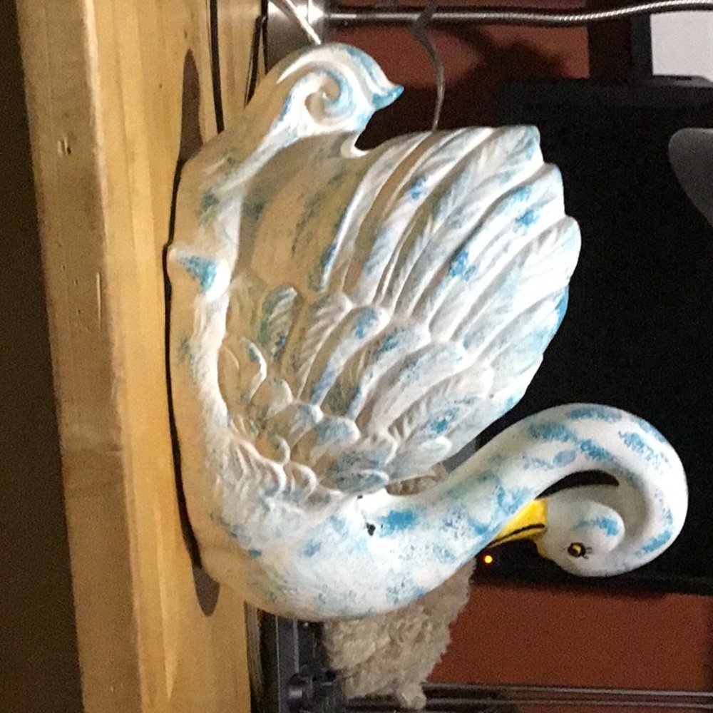 Swan